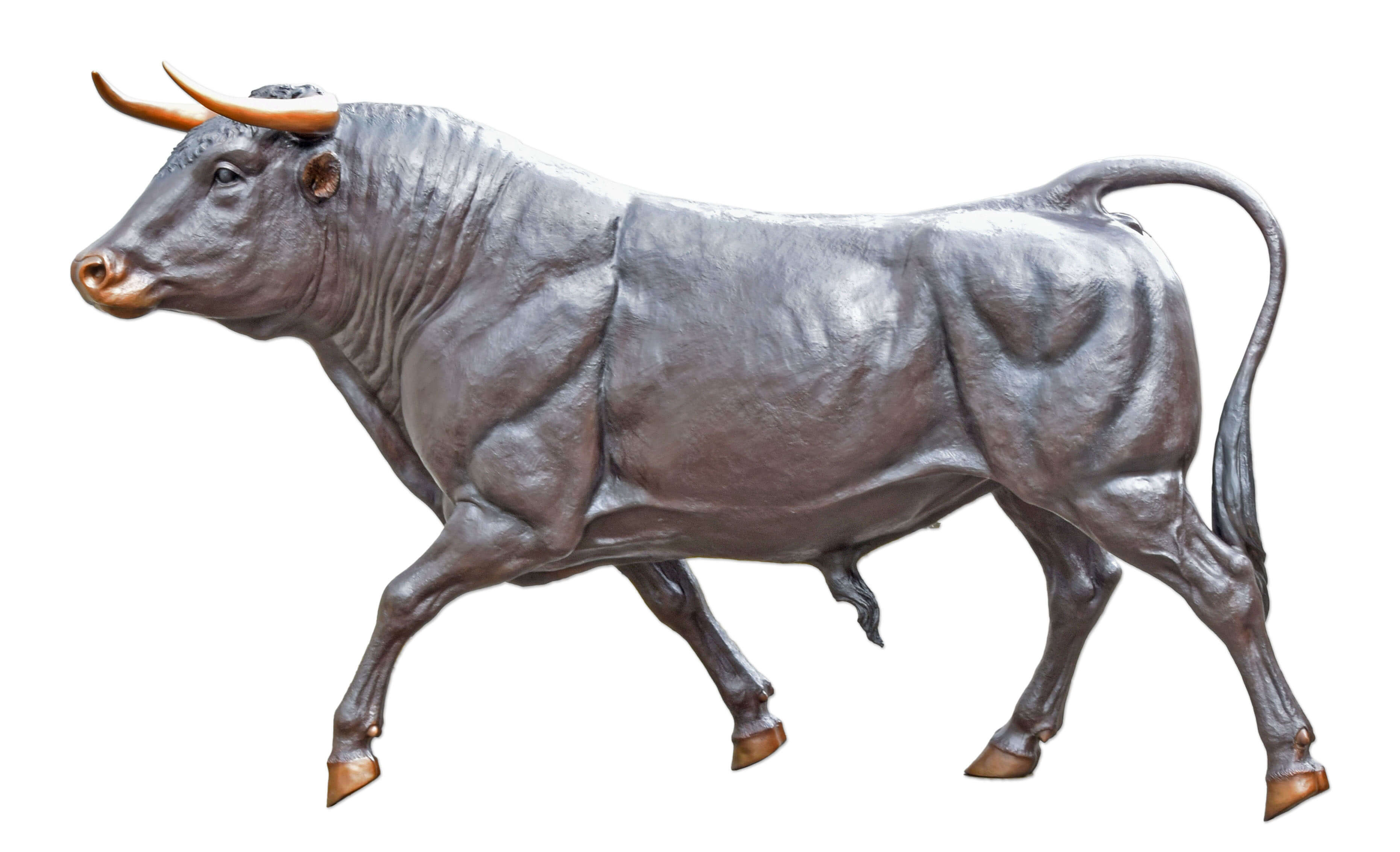 Tier, Stier, Säugetier, Ochse, Kuh