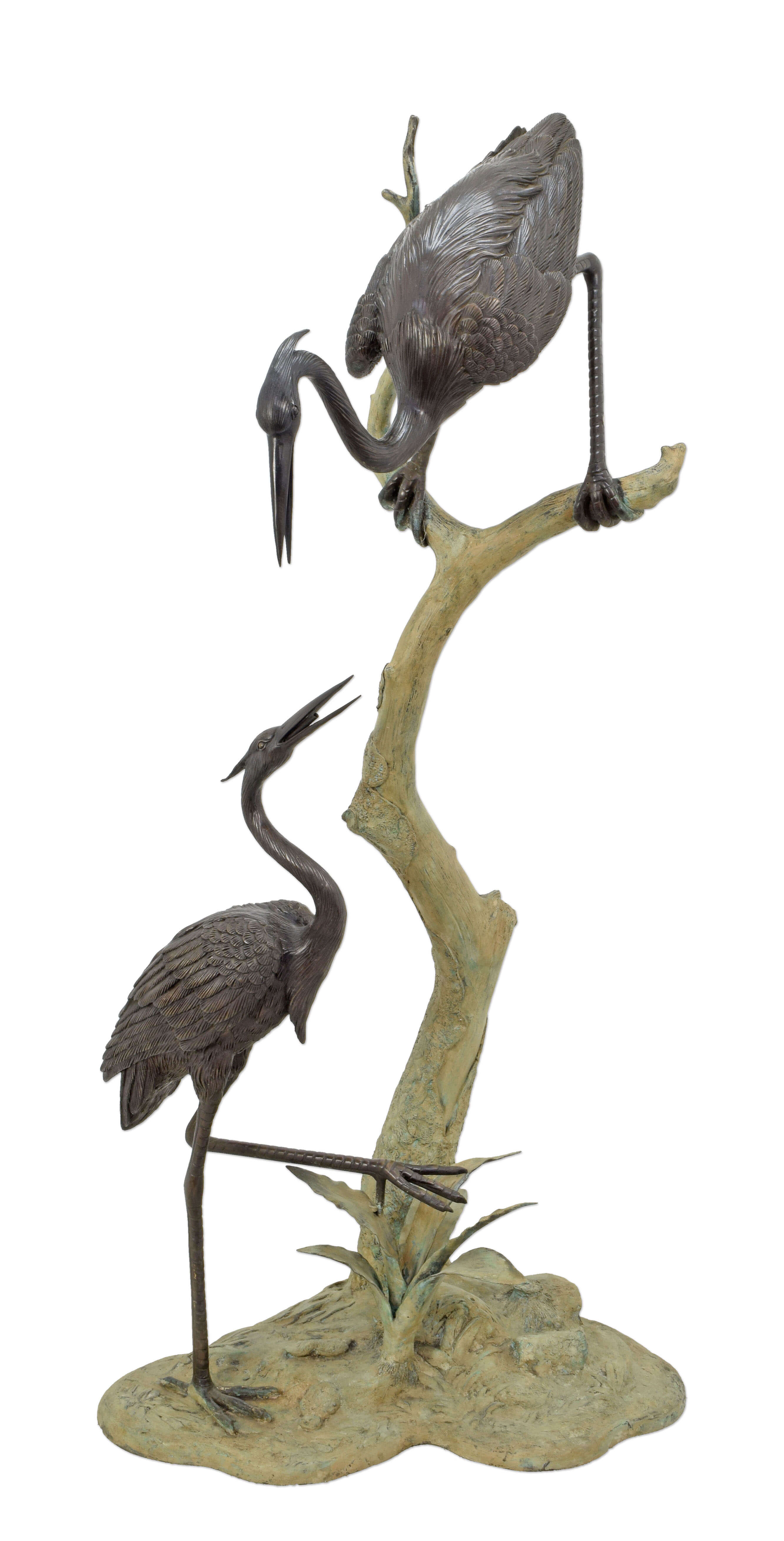 Tier, Vogel, Kranich, Vogel, Wasservögel, Schnabel