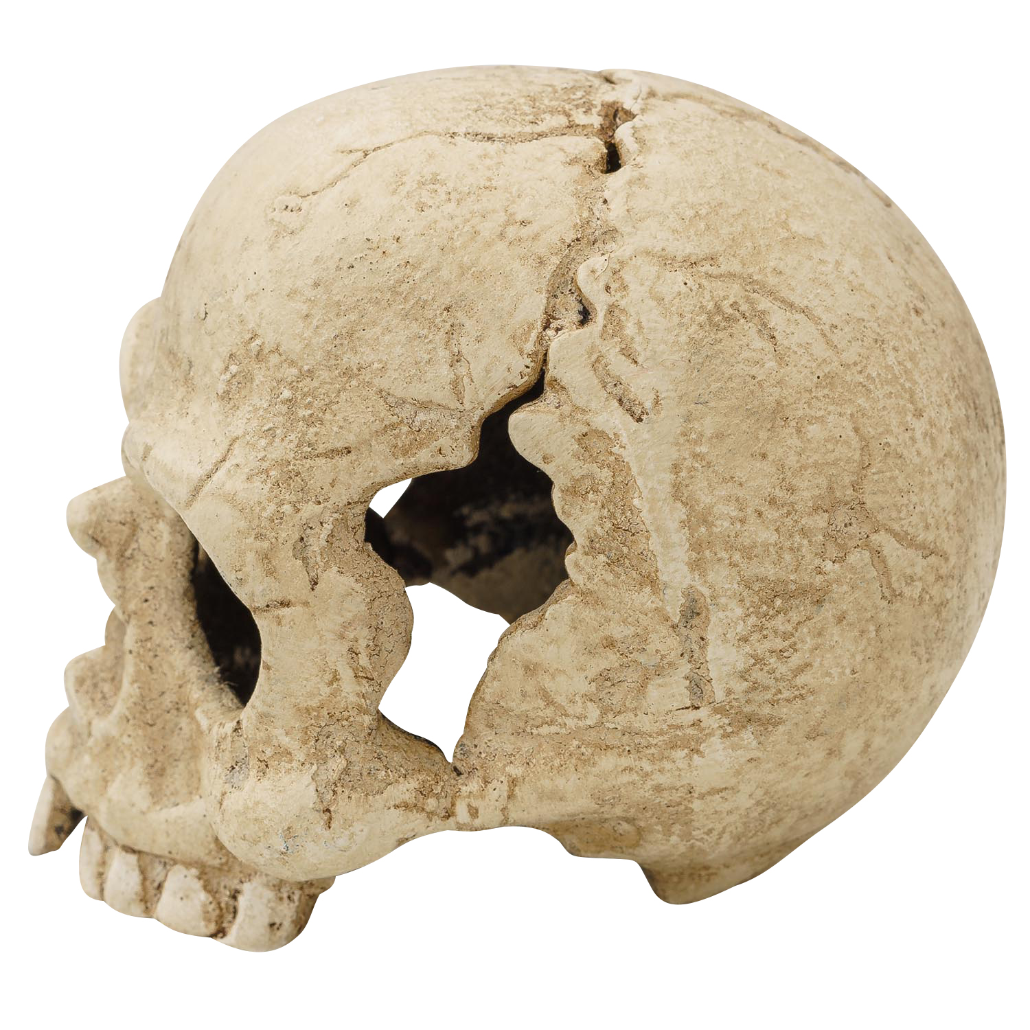 Teelichthalter Totenkopf Kerzenständer Figur Skulptur Eisen Antik-Stil