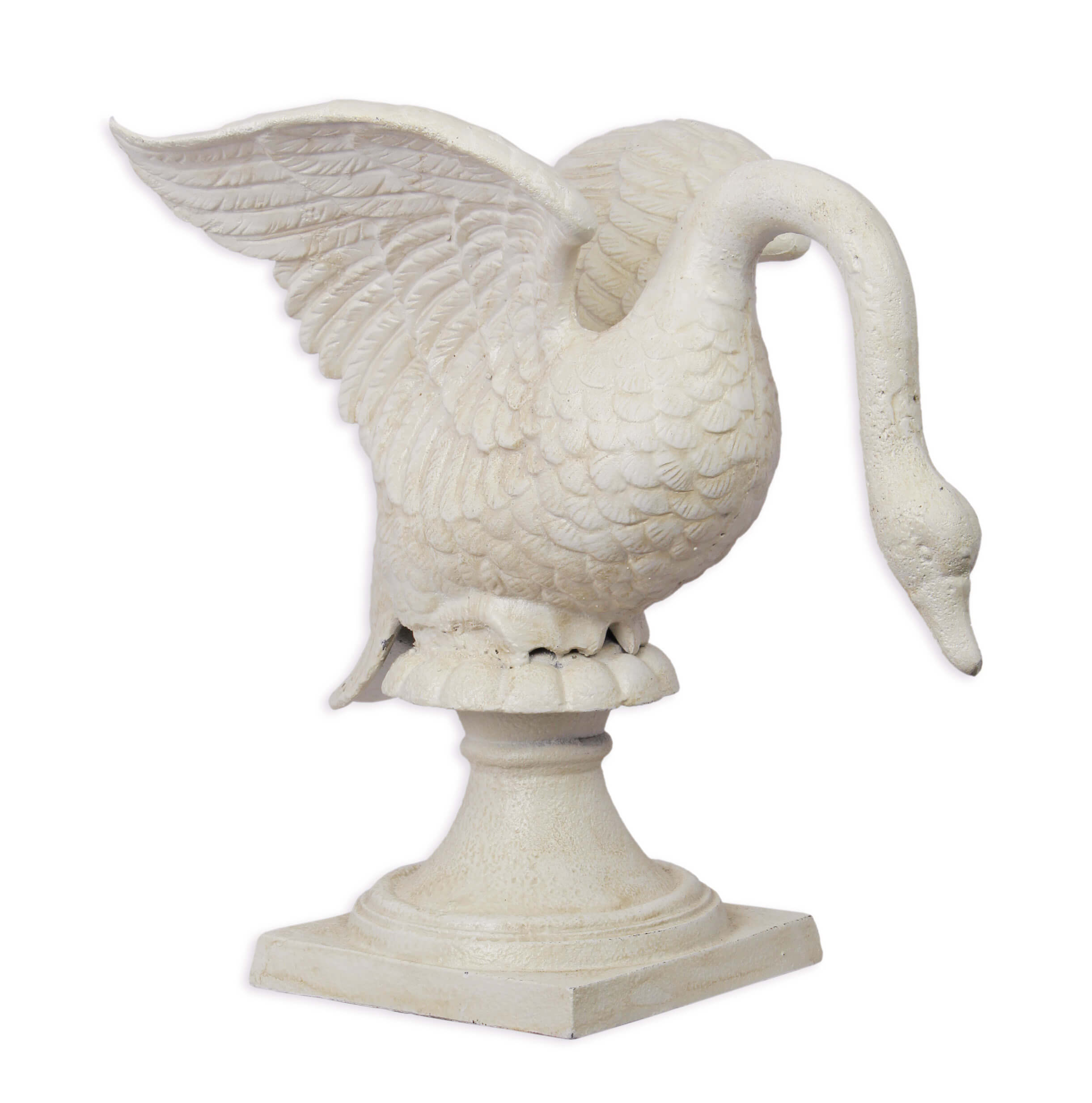 Tier, Vogel