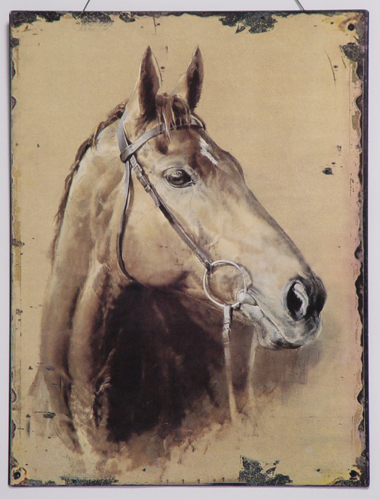 Halfter, Pferd, Kunst, Malerei, Colt Horse