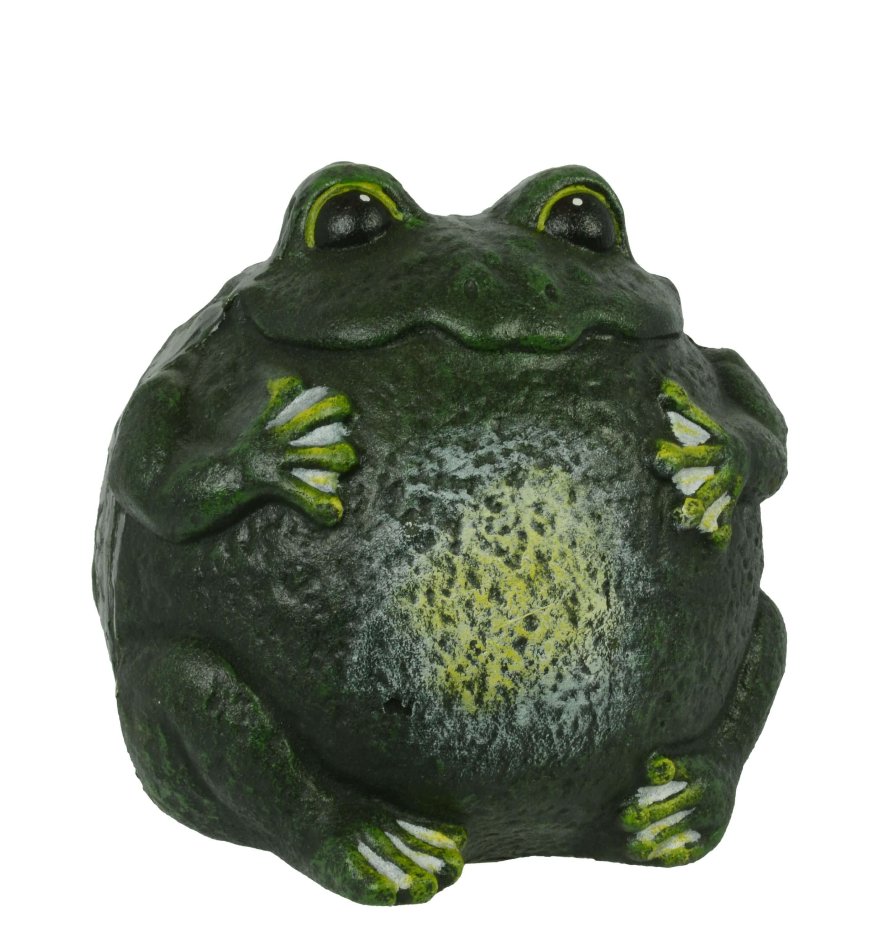 Tier, Bär, Säugetier, Tierwelt