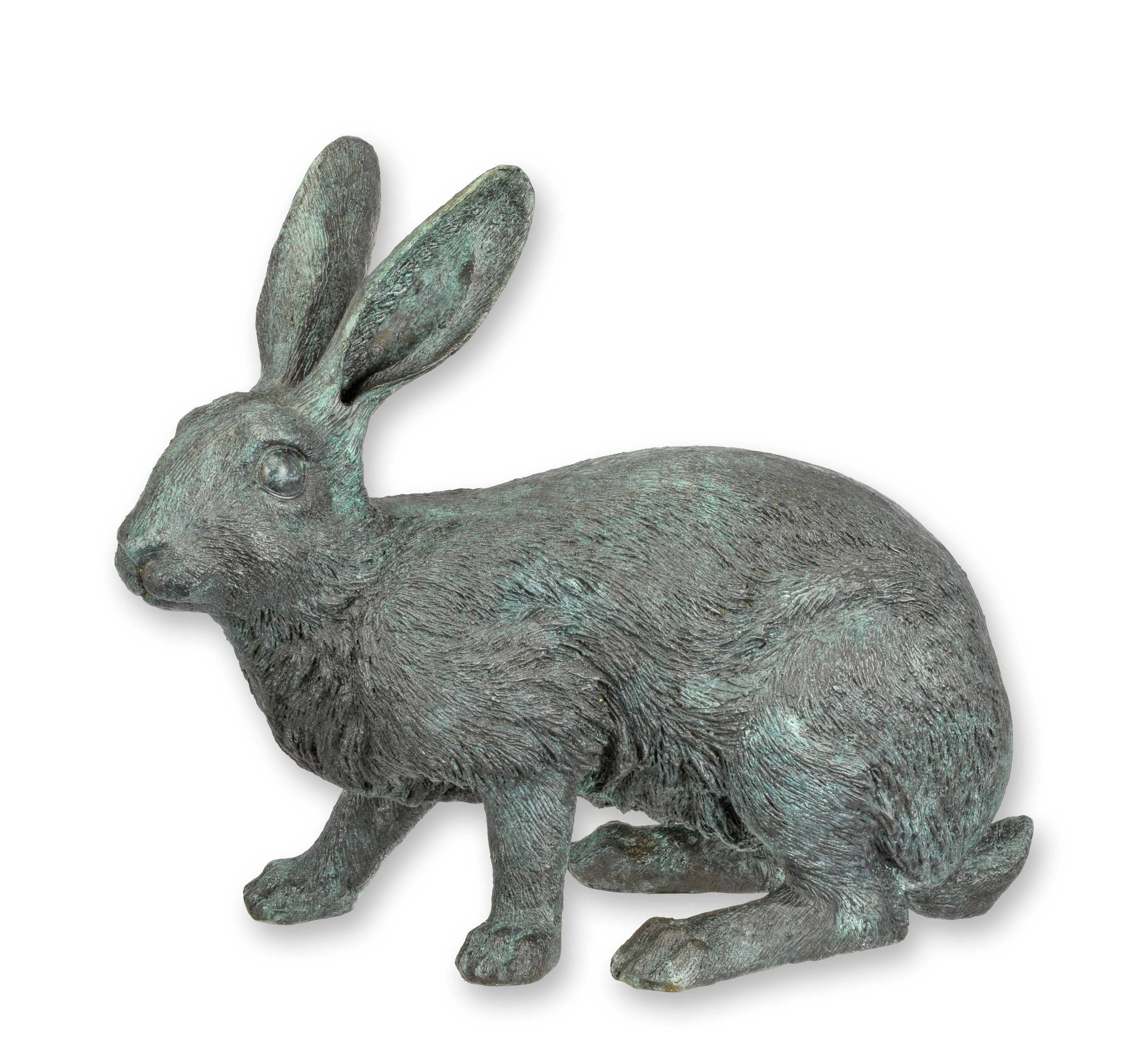 Tier, Hase, Säugetier, Nagetier