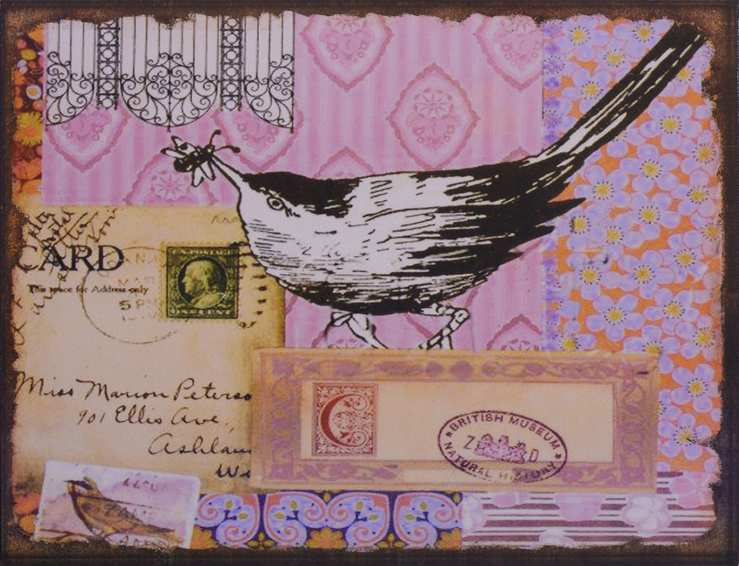 Tier, Vogel, Briefumschlag, Post