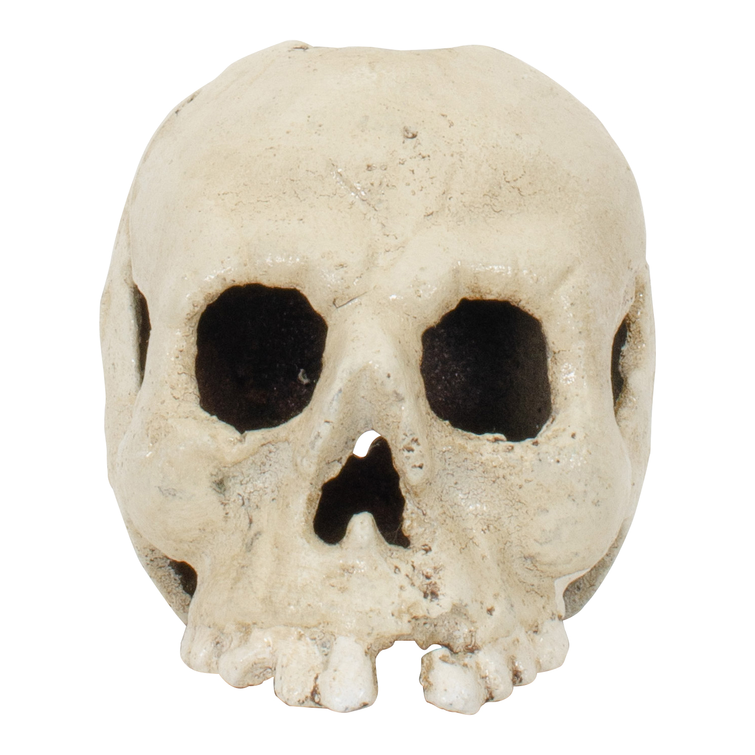 Kerzenständer Totenkopf Kerzenhalter Figur Skulptur Eisen Antik-Stil 11cm (b)