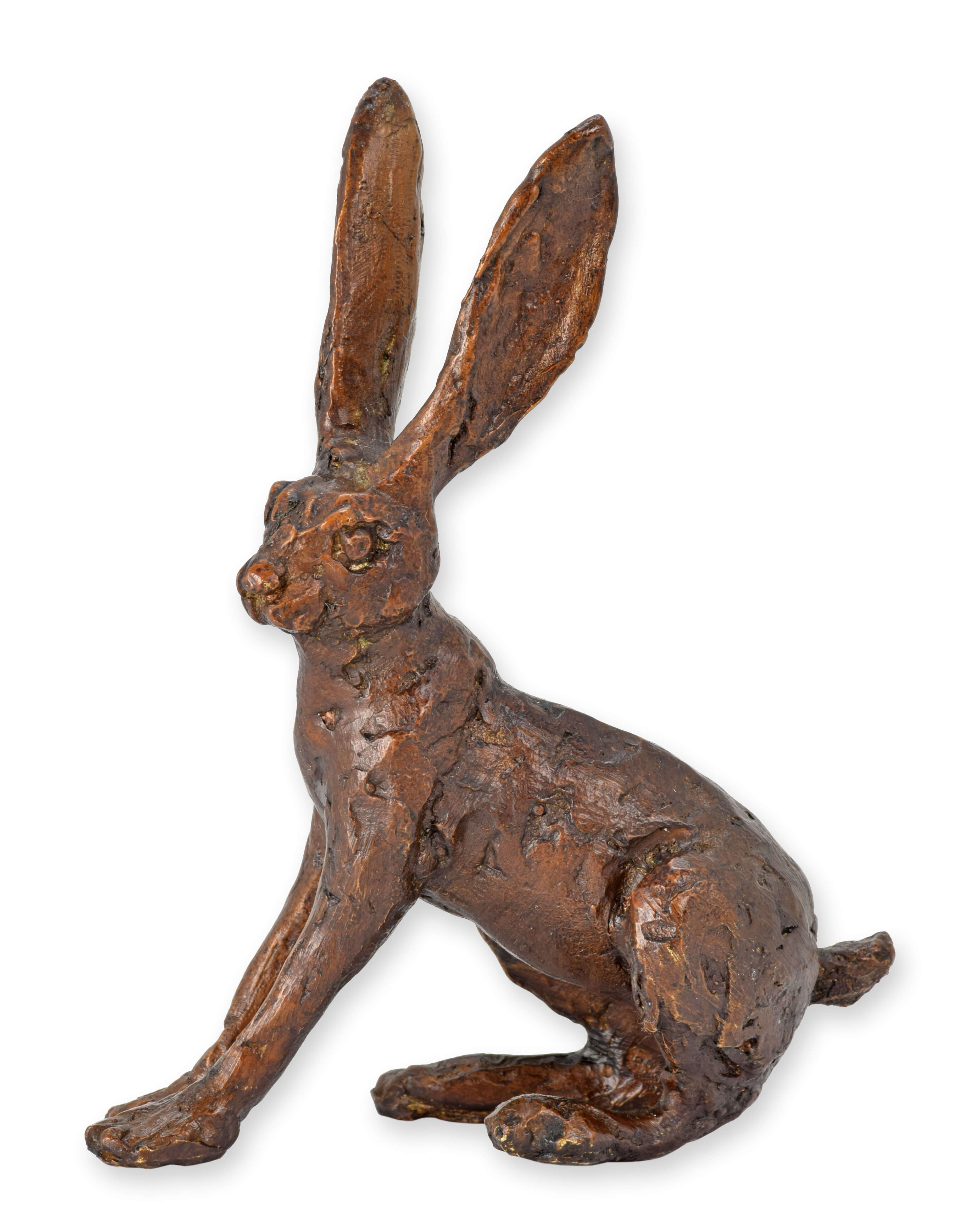 Tier, Hase, Säugetier, Nagetier